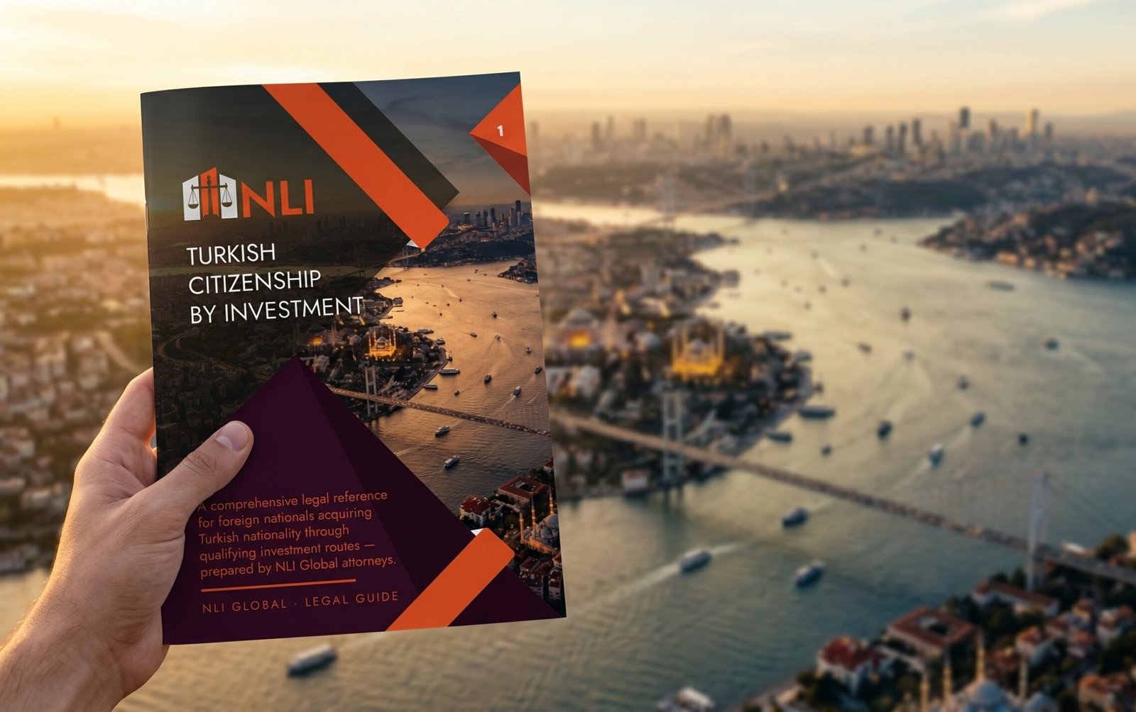 nli global turkish citizenship